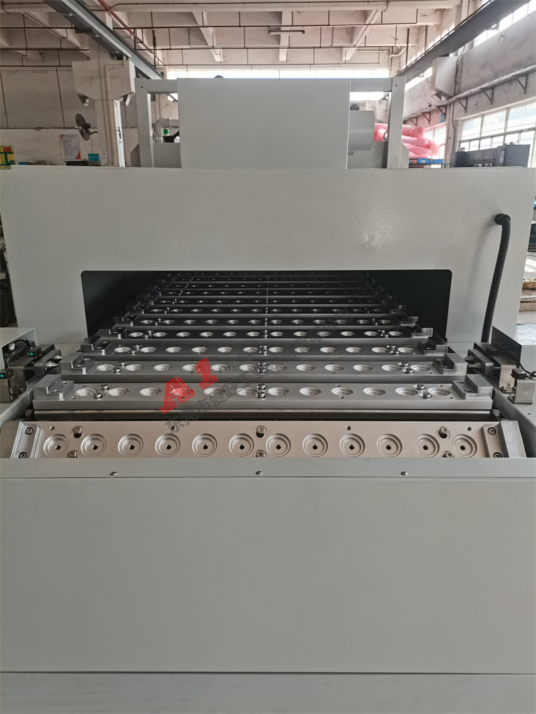 IMG_20221128_110217 IMG_20221128_110217